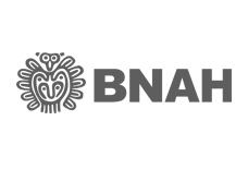 Logo BNAH